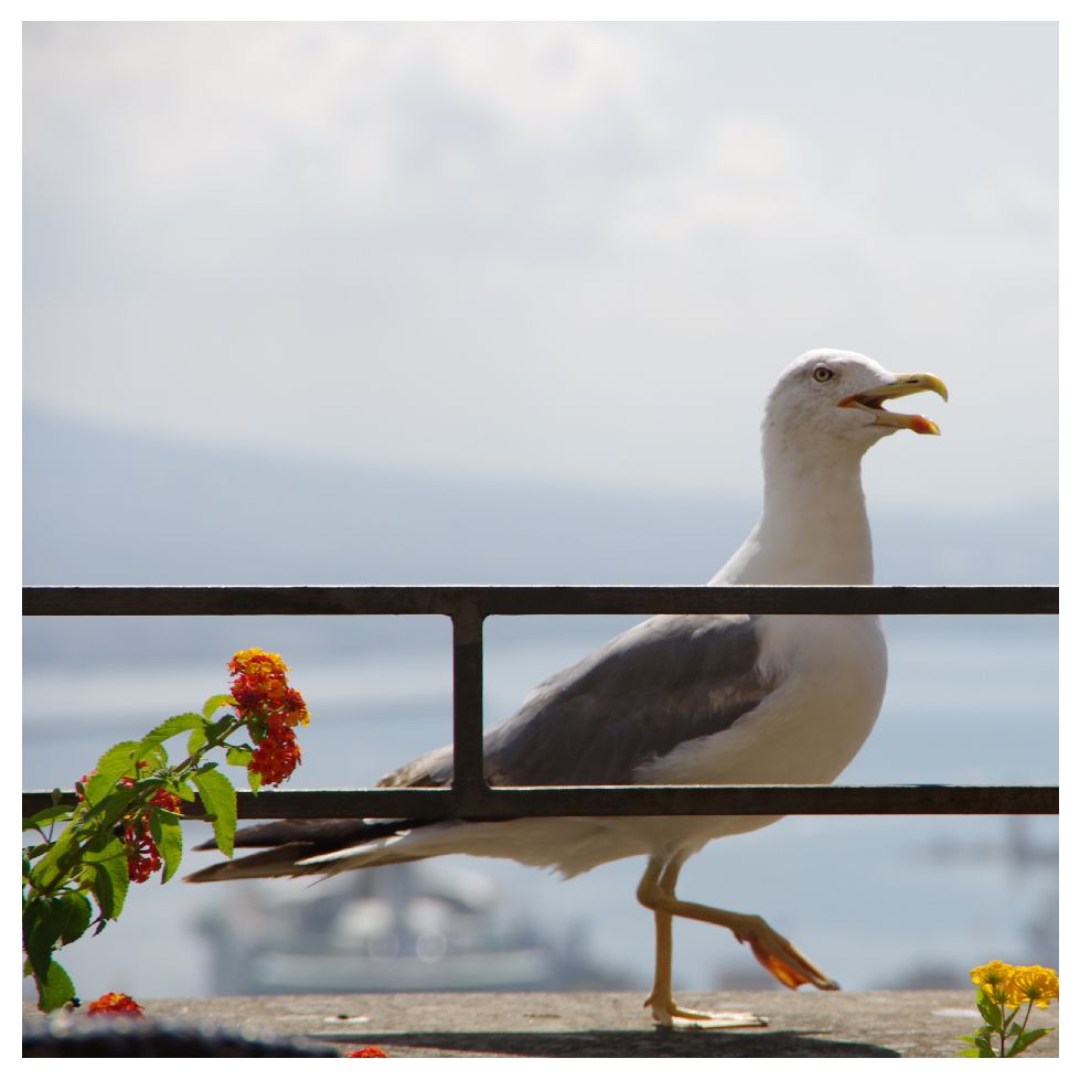napoli